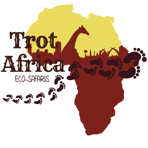 Trot Africa